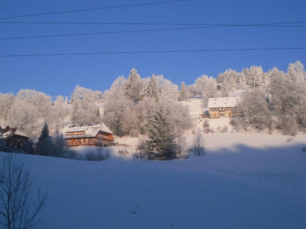 Hotel Landgasthaus Gemsennest Feldberg  Esterno foto