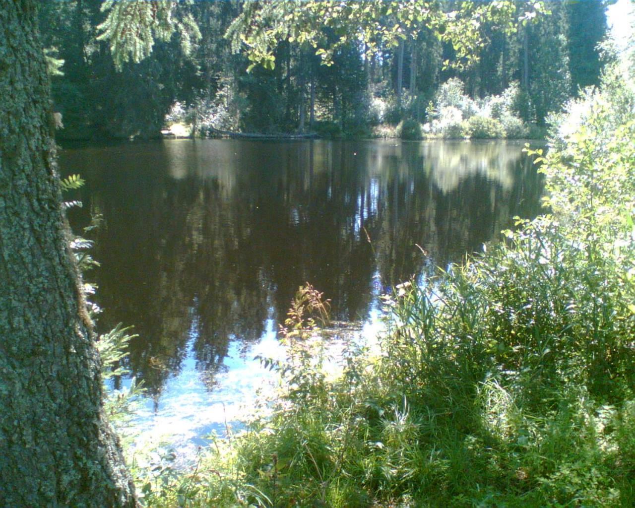 Landgasthaus Gemsennest Feldberg  Esterno foto