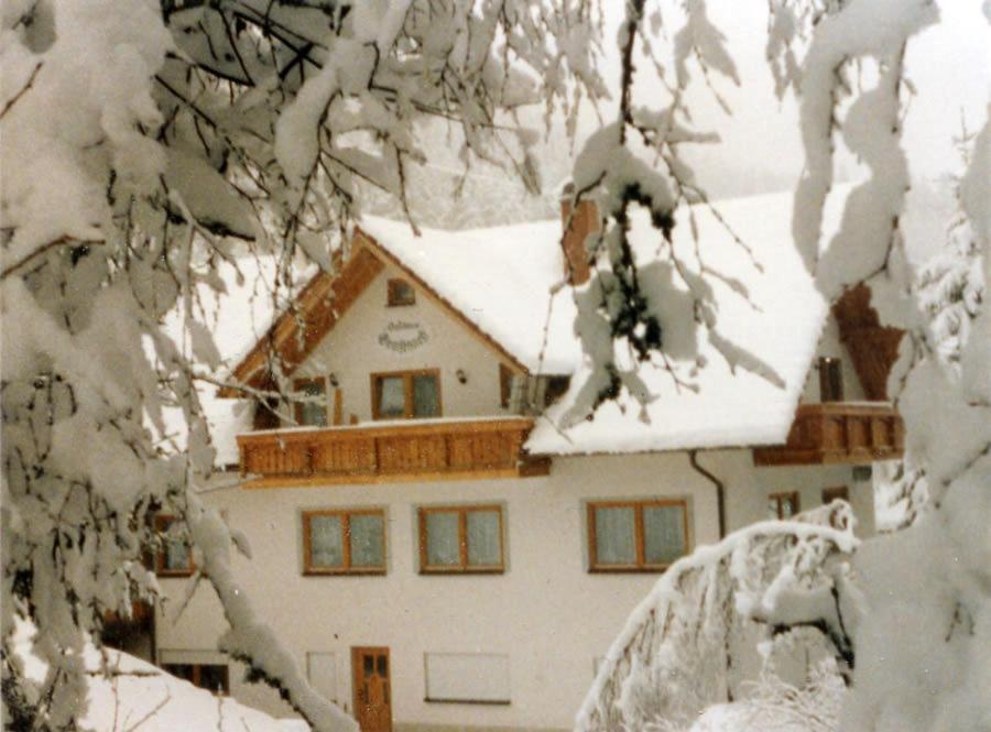 Hotel Landgasthaus Gemsennest Feldberg  Esterno foto