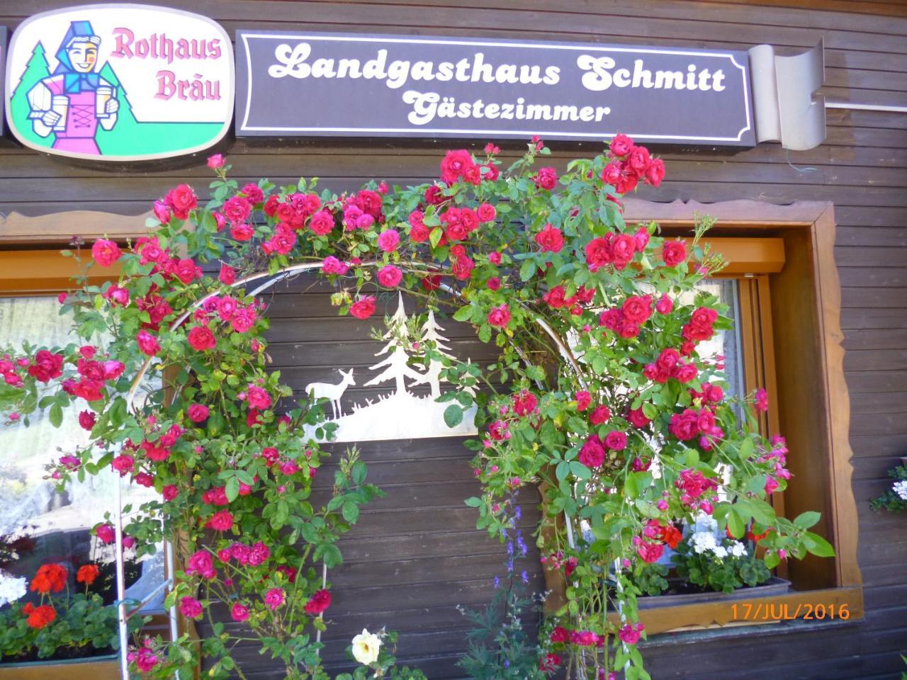 Hotel Landgasthaus Gemsennest Feldberg  Esterno foto